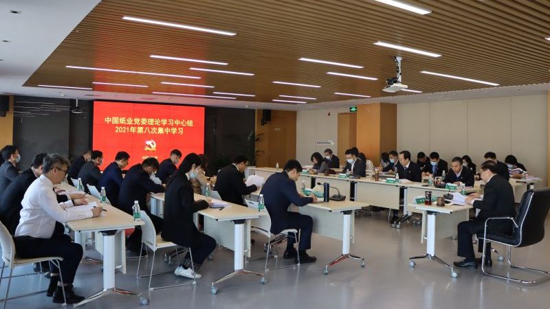 中国纸业党委深入学习贯彻党的十九届六中全会精神